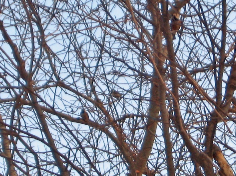 f:id:atarou:20130307064733j:image