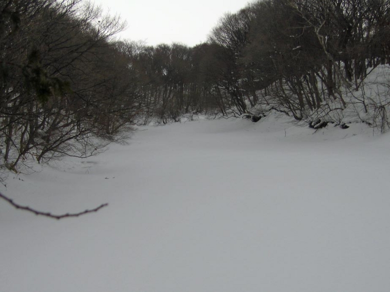 f:id:atarou:20130308084747j:image