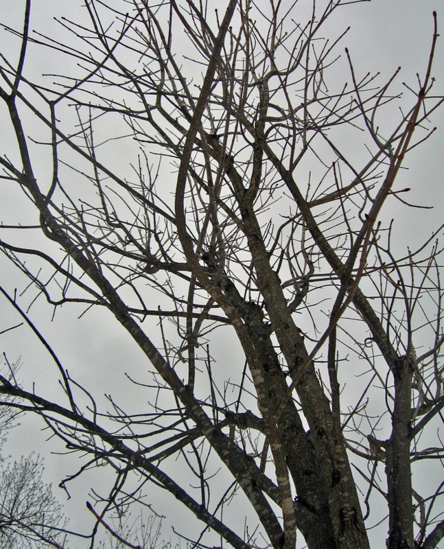 f:id:atarou:20130308084749j:image