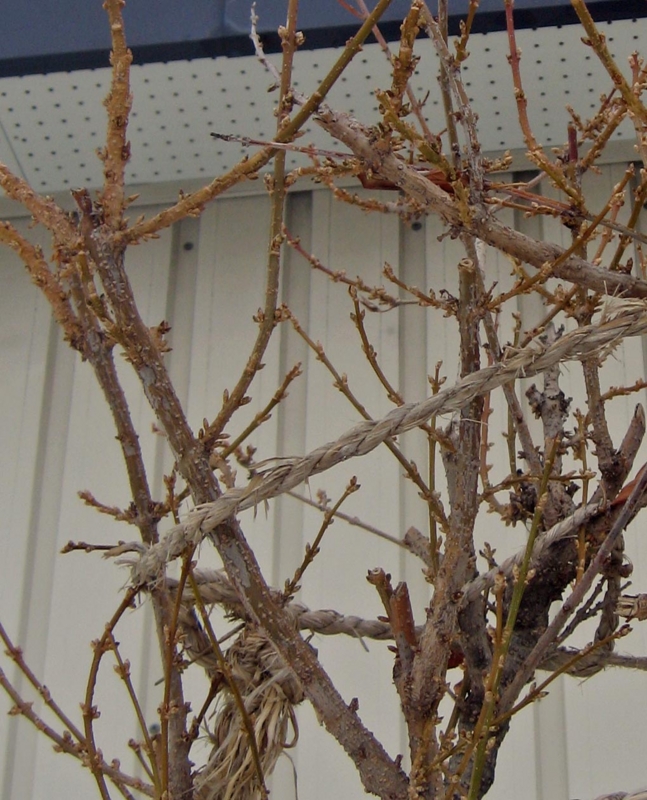 f:id:atarou:20130308085521j:image