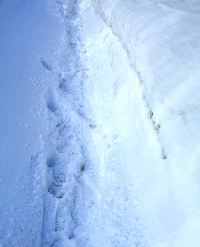 f:id:atarou:20130310071705j:image