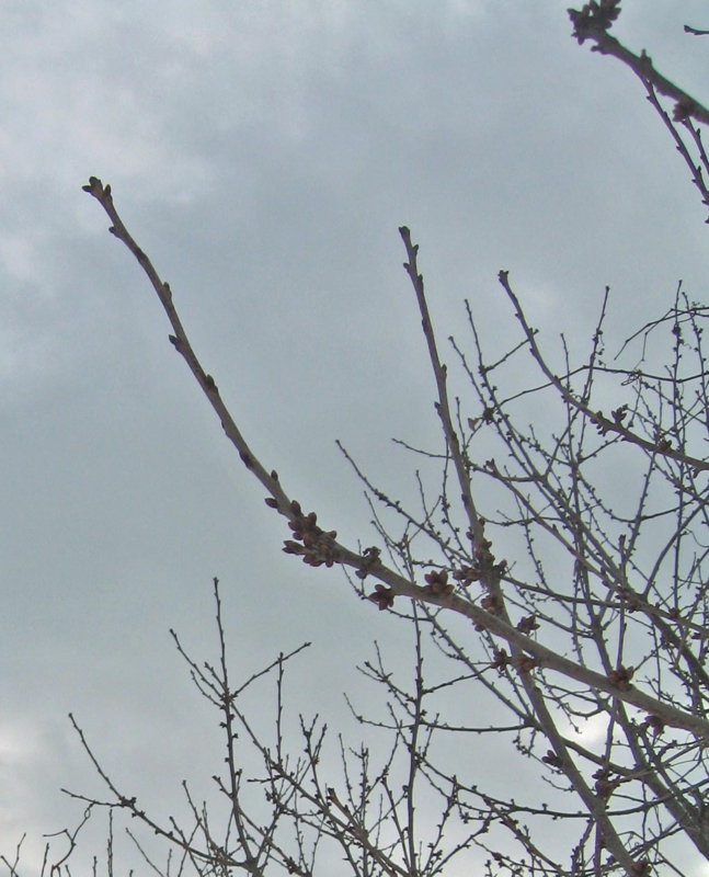 f:id:atarou:20130313064926j:image