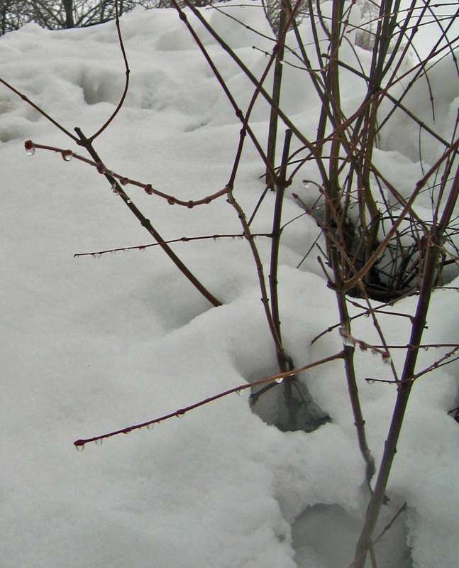 f:id:atarou:20130314062044j:image f:id:atarou:20130314062044j:image