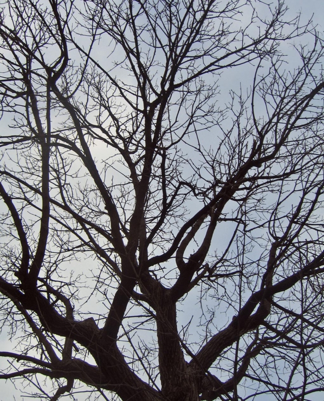 f:id:atarou:20130316065102j:image