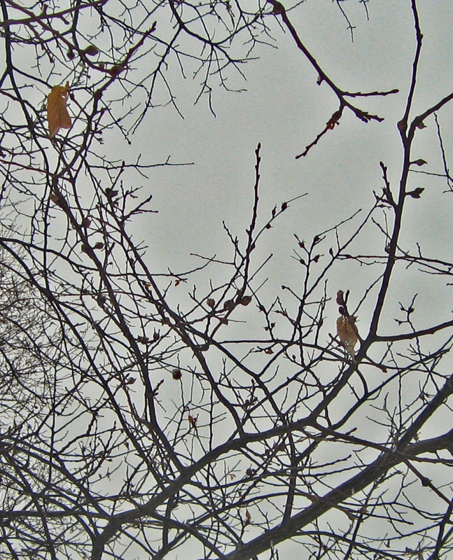 f:id:atarou:20130317061438j:image