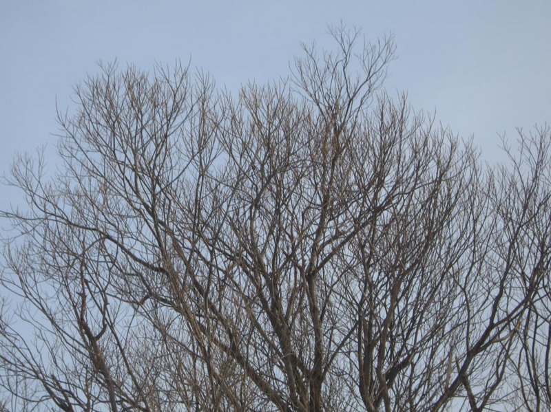 f:id:atarou:20130318071217j:image