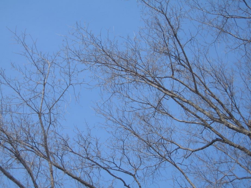 f:id:atarou:20130318071219j:image