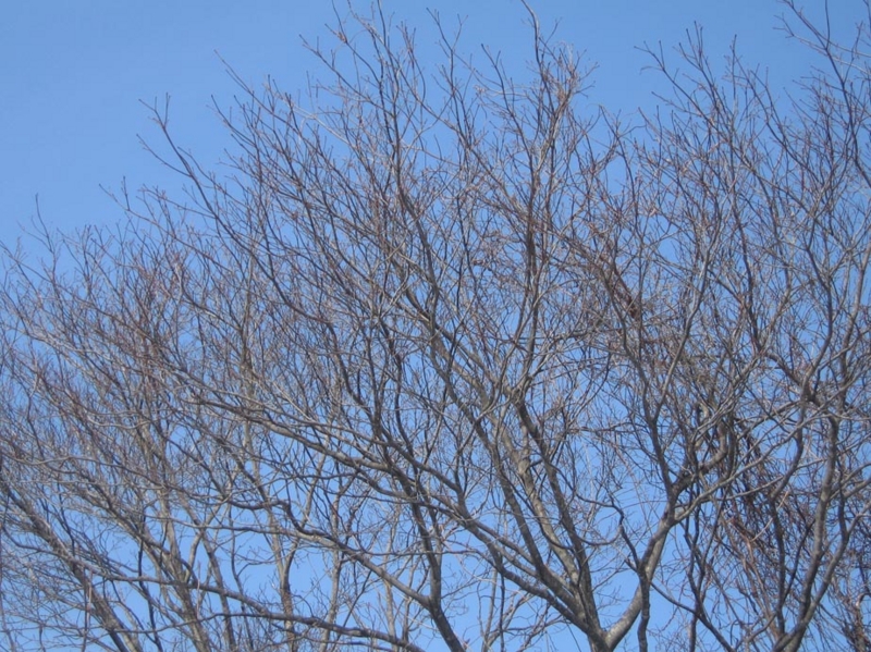f:id:atarou:20130318071220j:image