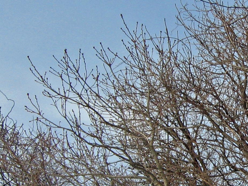 f:id:atarou:20130318084456j:image