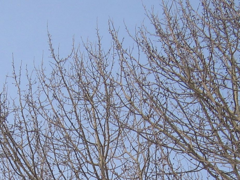 f:id:atarou:20130318084457j:image