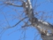 20130320070809