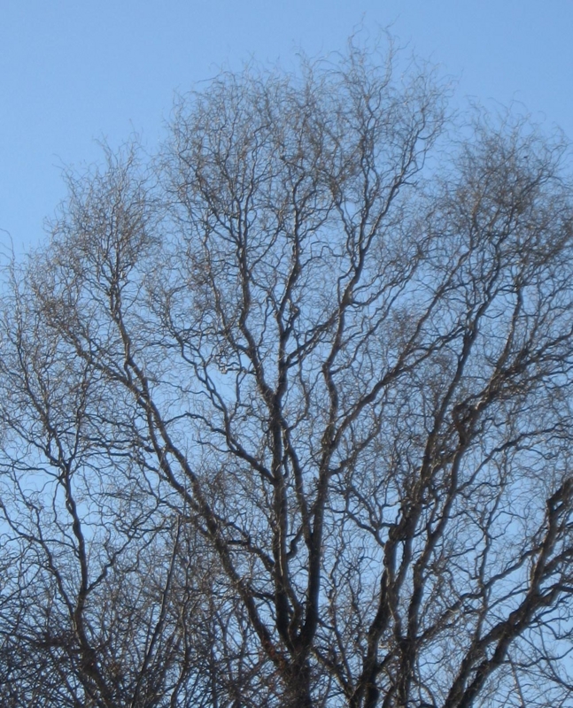 f:id:atarou:20130320085820j:image
