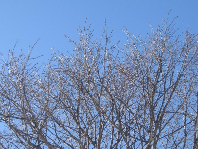 f:id:atarou:20130320085824j:image