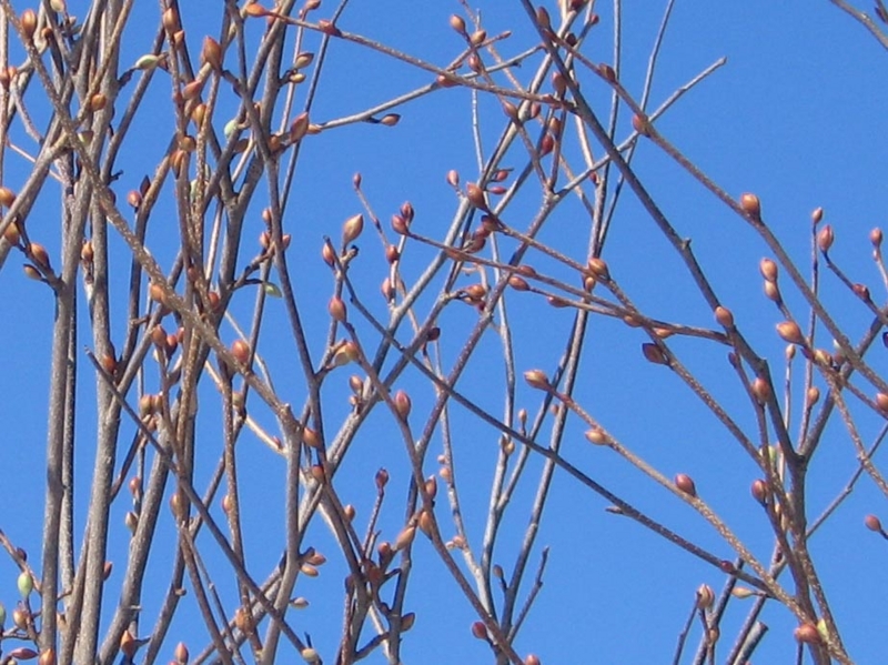 f:id:atarou:20130320085825j:image
