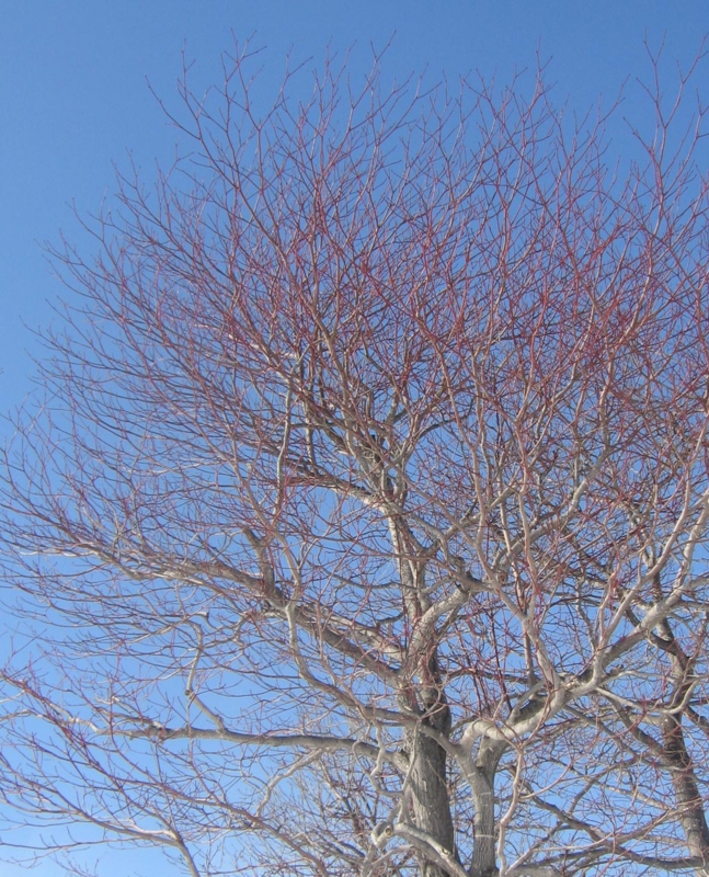 f:id:atarou:20130322063659j:image f:id:atarou:20130322063659j:image