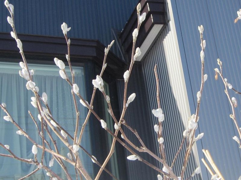 f:id:atarou:20130322084712j:image f:id:atarou:20130322084712j:image