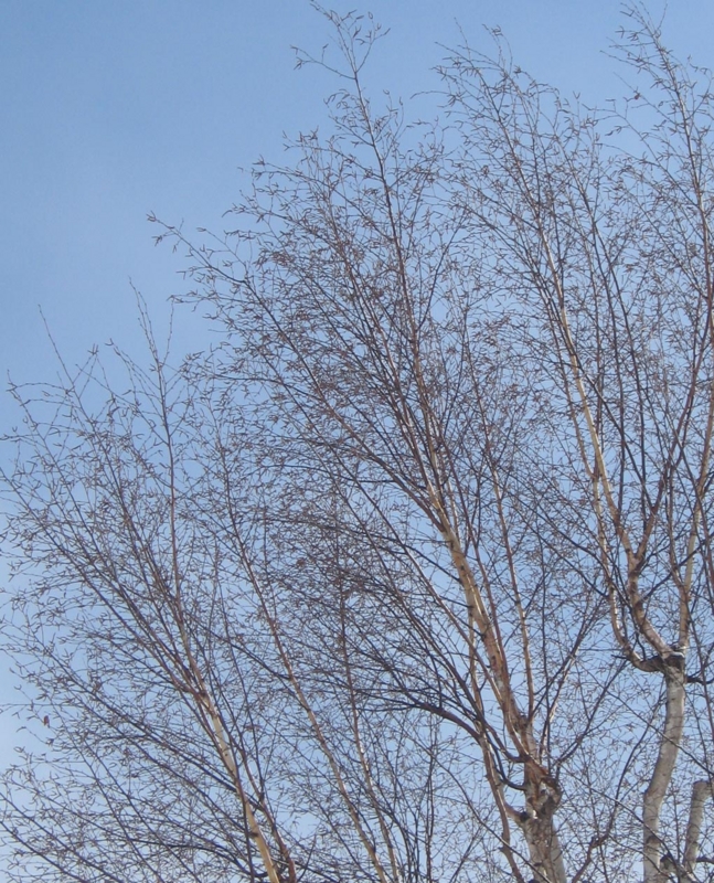 f:id:atarou:20130322084715j:image f:id:atarou:20130322084715j:image