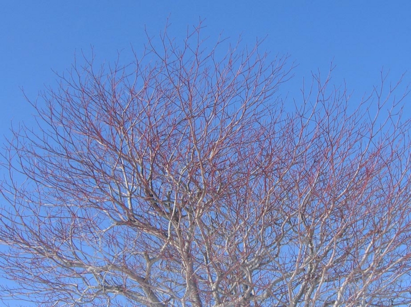 f:id:atarou:20130322090424j:image f:id:atarou:20130322090424j:image