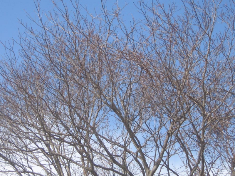 f:id:atarou:20130324064406j:image