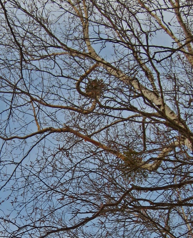 f:id:atarou:20130325084458j:image