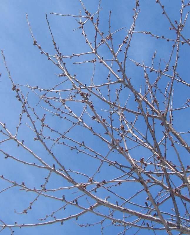 f:id:atarou:20130326170223j:image