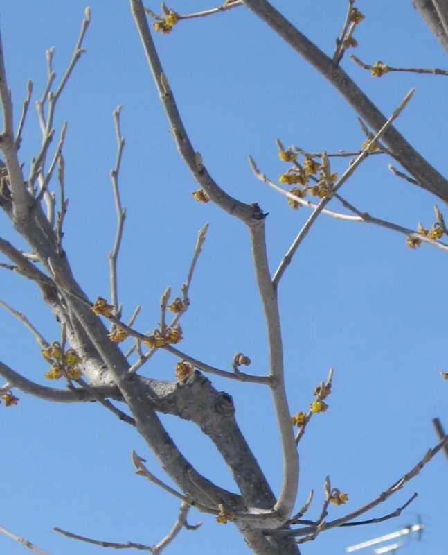 f:id:atarou:20130326170448j:image