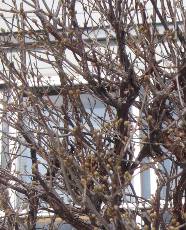 f:id:atarou:20130326170942j:image