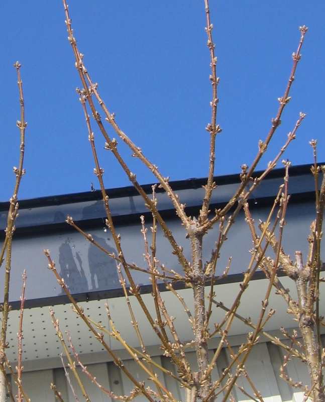 f:id:atarou:20130326171115j:image