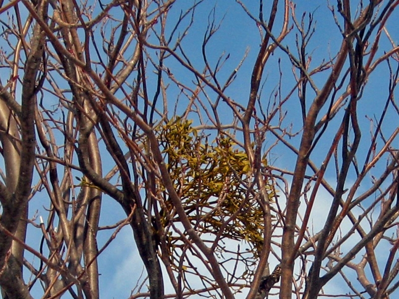 f:id:atarou:20130327085058j:image