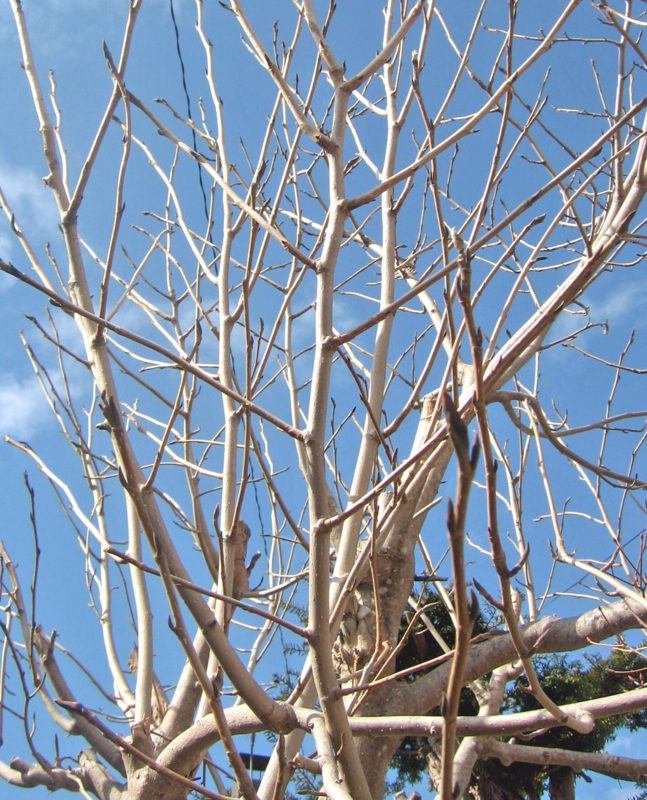 f:id:atarou:20130416065232j:image