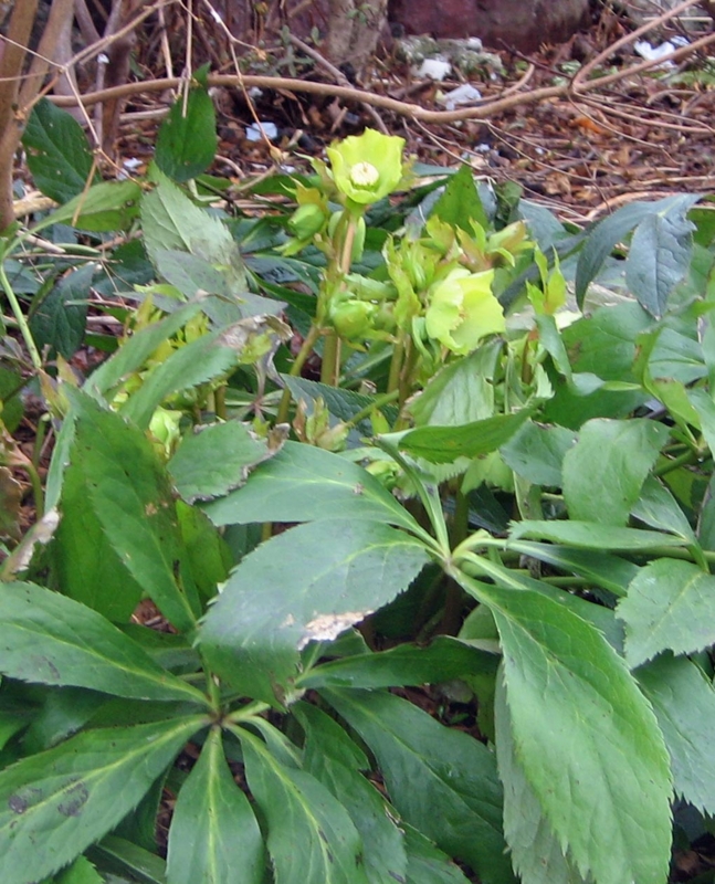 f:id:atarou:20130418054719j:image
