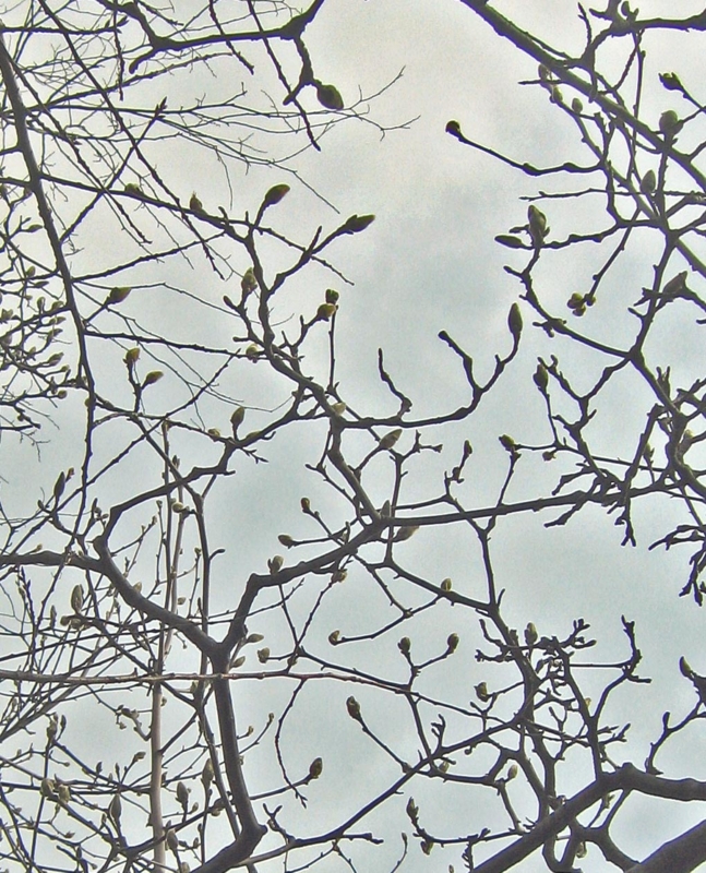 f:id:atarou:20130420051800j:image f:id:atarou:20130420051800j:image