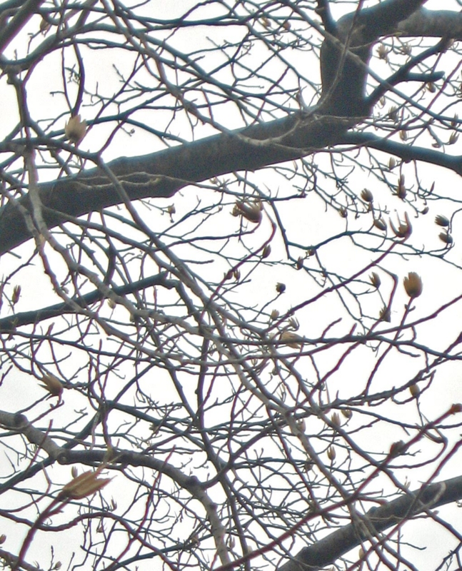 f:id:atarou:20130420054828j:image f:id:atarou:20130420054828j:image