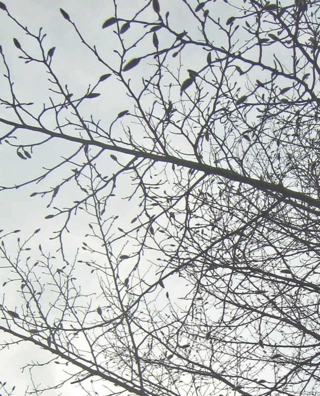 f:id:atarou:20130420054830j:image f:id:atarou:20130420054830j:image