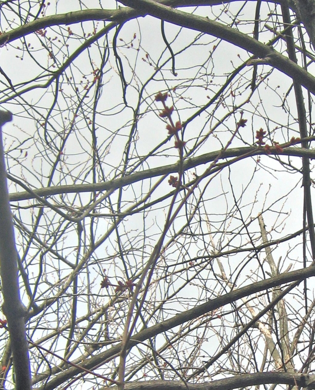 f:id:atarou:20130420055654j:image f:id:atarou:20130420055654j:image
