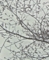 20130507085226