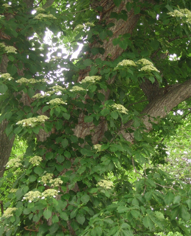 f:id:atarou:20130706061719j:image