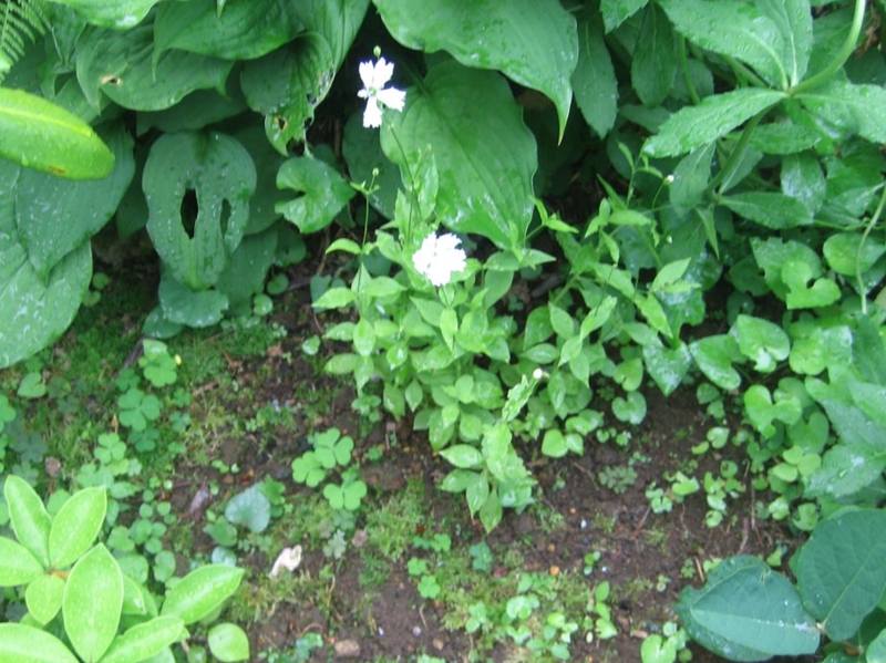 f:id:atarou:20130706062538j:image