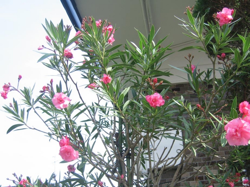 f:id:atarou:20130808065313j:image f:id:atarou:20130808065313j:image