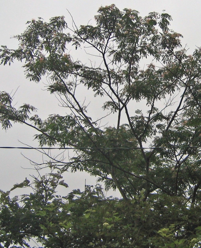 f:id:atarou:20130810051837j:image