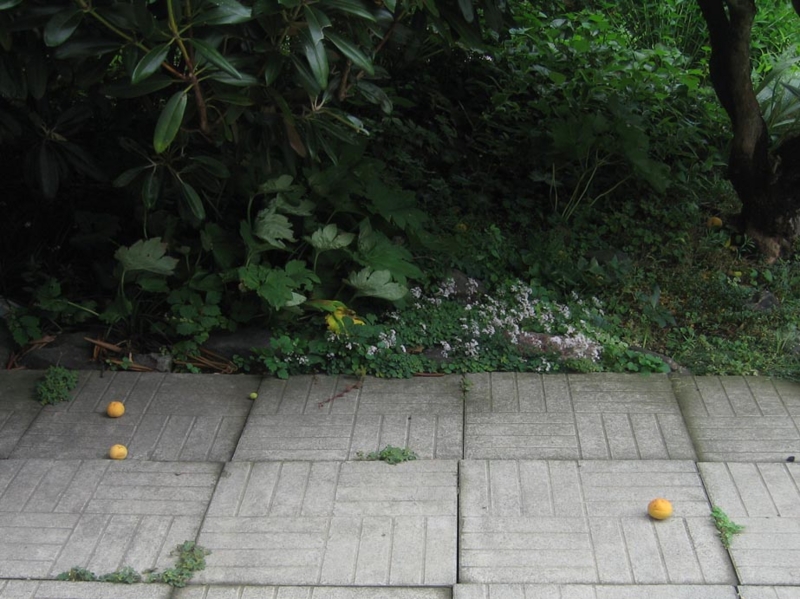 f:id:atarou:20130810061118j:image