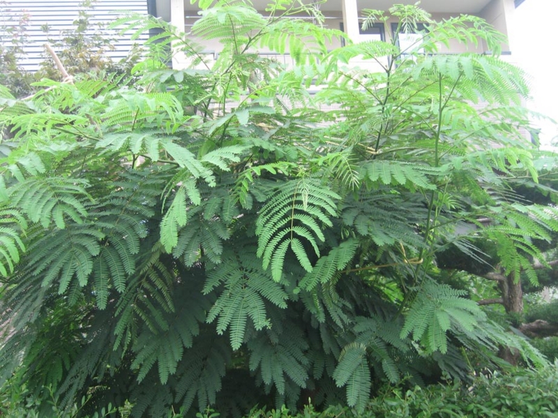 f:id:atarou:20130812063134j:image