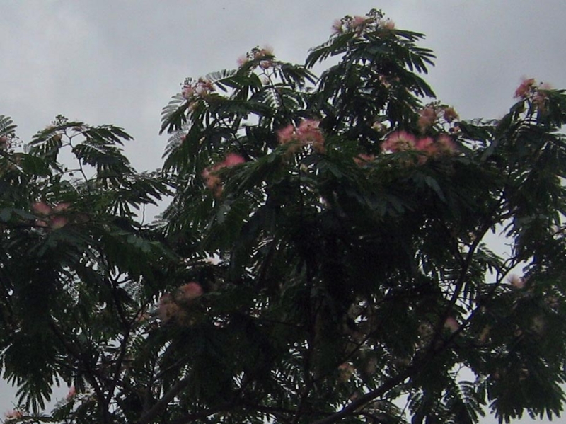 f:id:atarou:20130812063139j:image