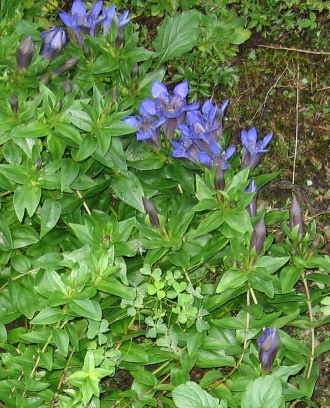 f:id:atarou:20130813055505j:image