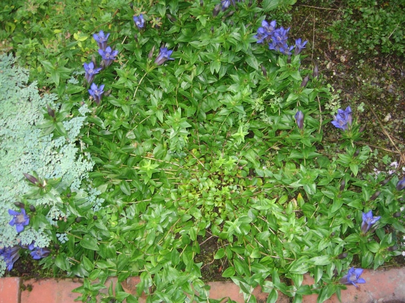 f:id:atarou:20130813061737j:image