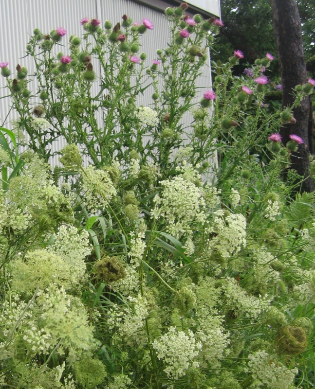 f:id:atarou:20130813090712j:image