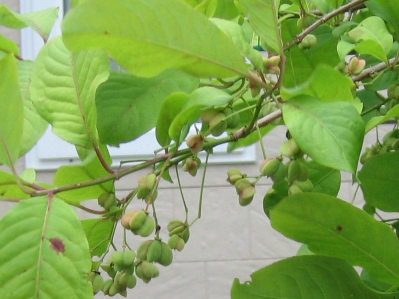 f:id:atarou:20130815092545j:image f:id:atarou:20130815092545j:image