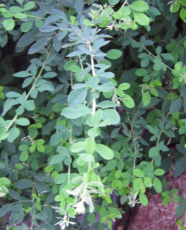 f:id:atarou:20130817070134j:image