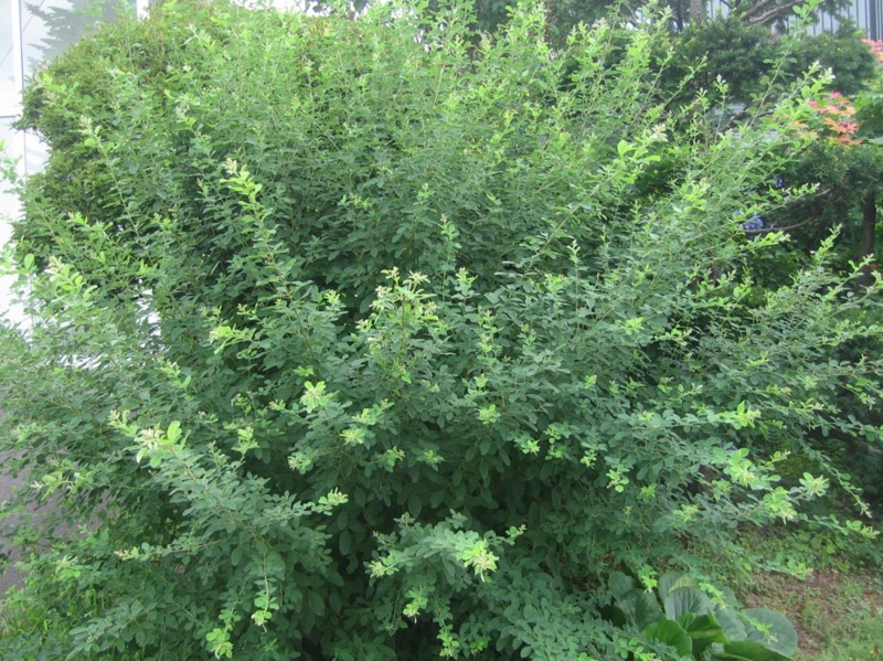 f:id:atarou:20130817070141j:image