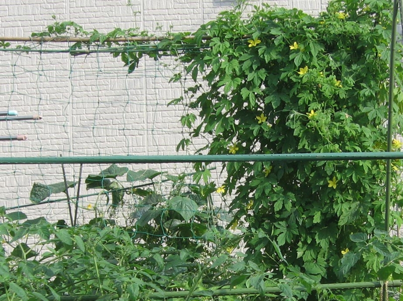 f:id:atarou:20130817084843j:image